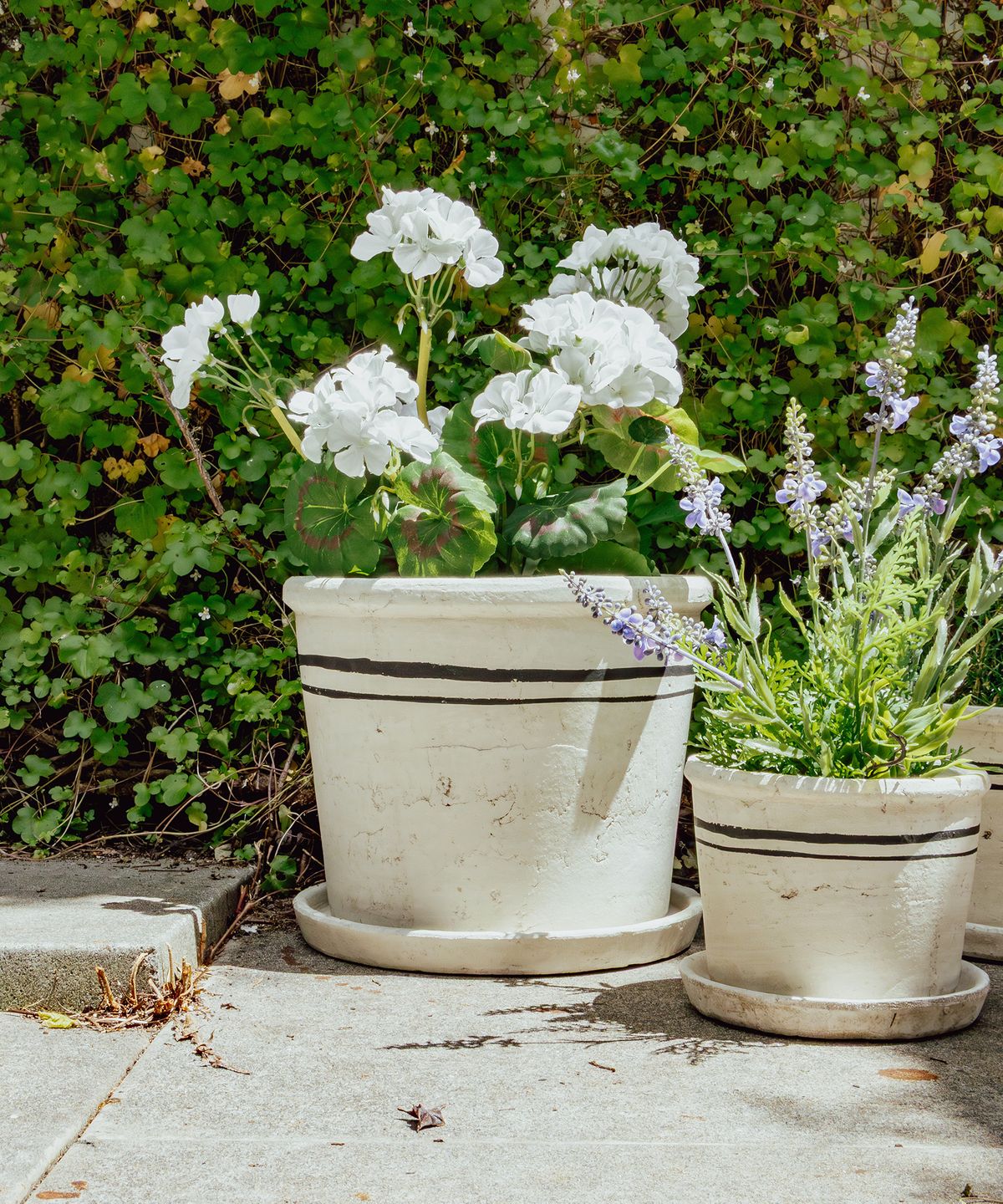 Lisbon Herb Pot Large
