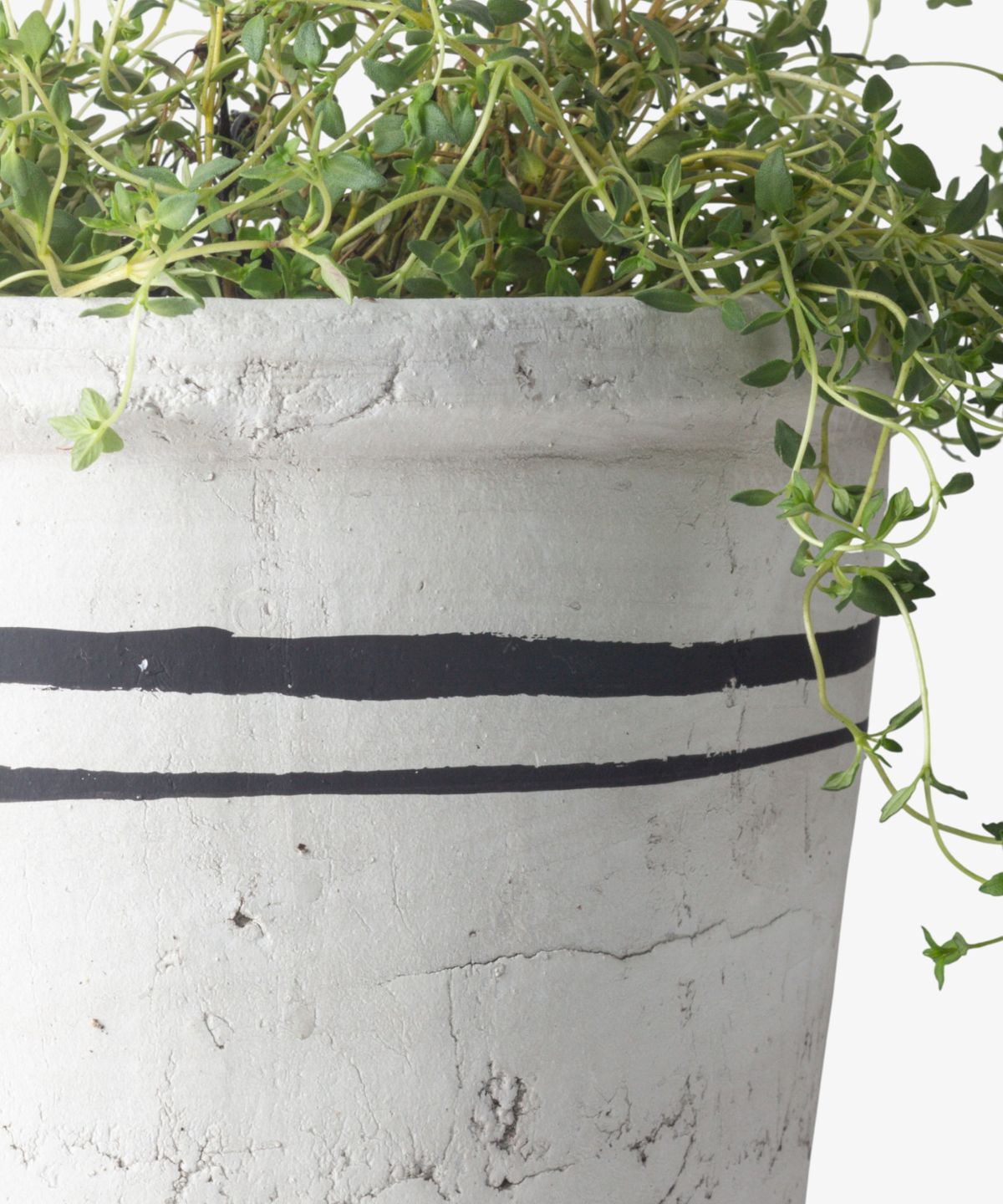 Lisbon Herb Pot Large