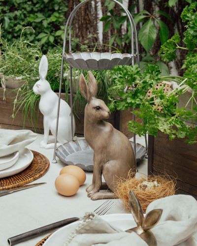 Harold the Hare Turning Small Brown