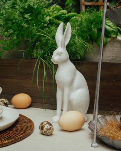 Harold the Hare Small White