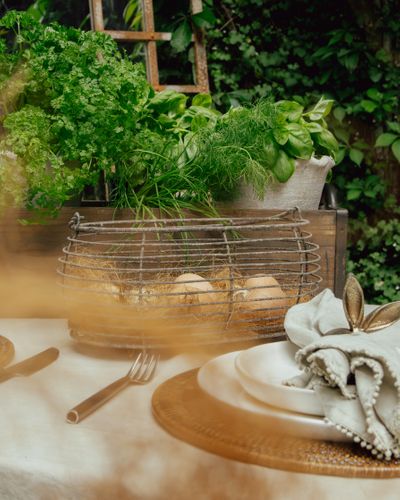 Wire Oval Egg Basket