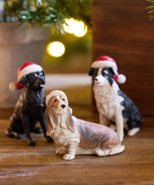 Hound with Santa Hat