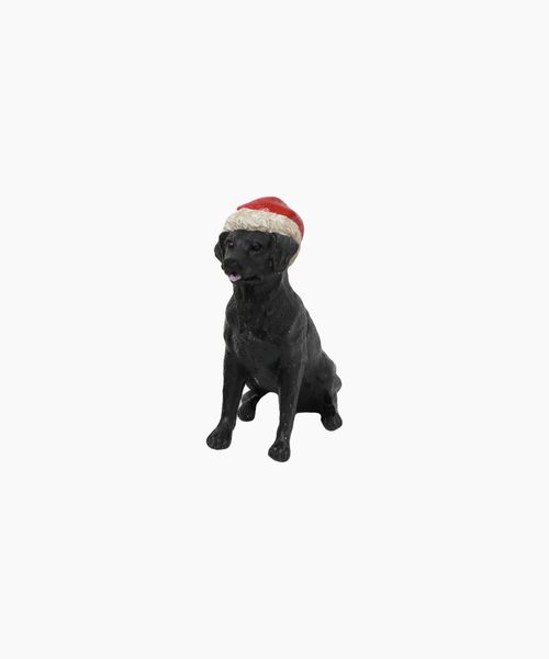 Black Dog with Santa Hat