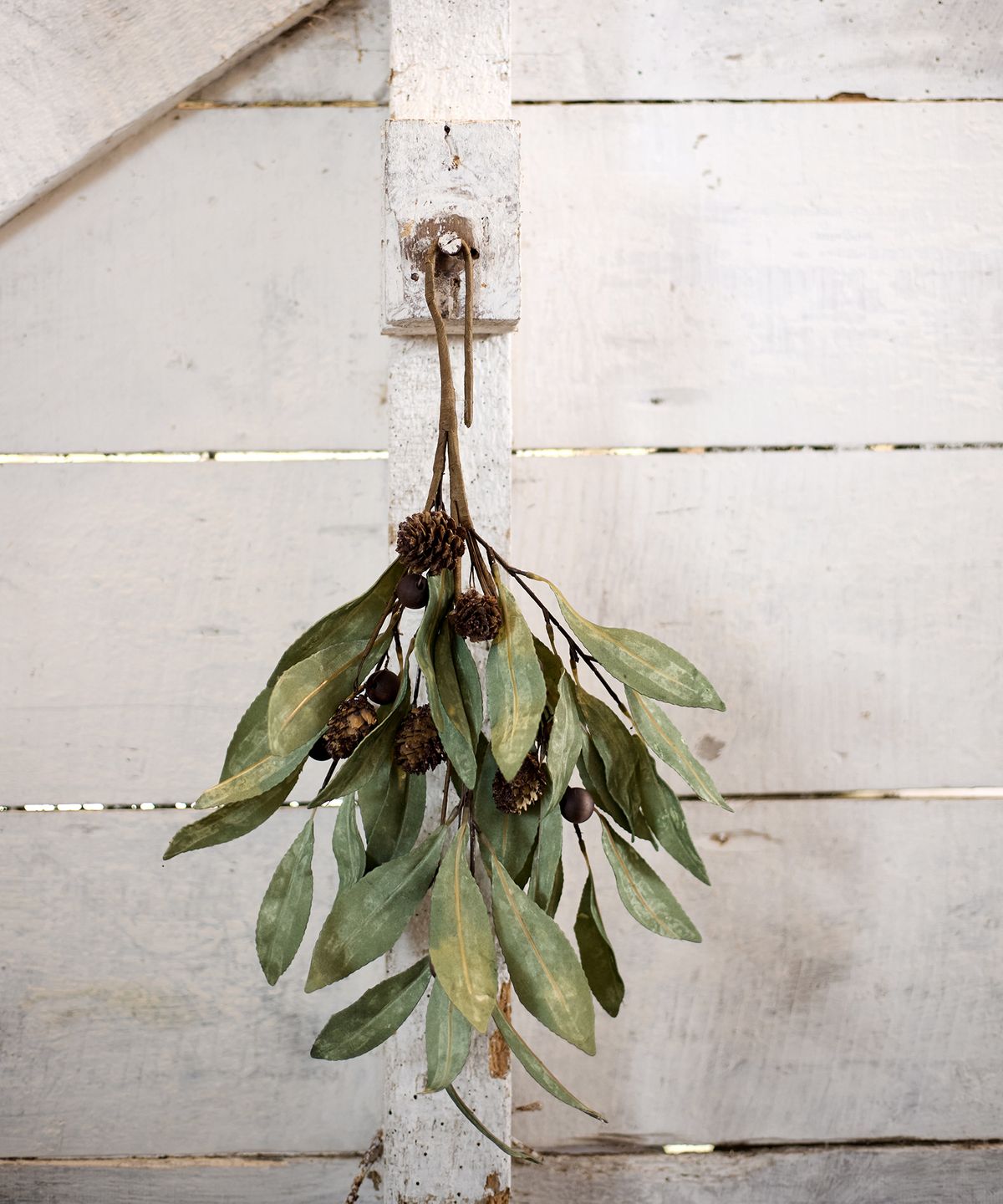 Eucalyptus & Brown Berry Wood Branch
