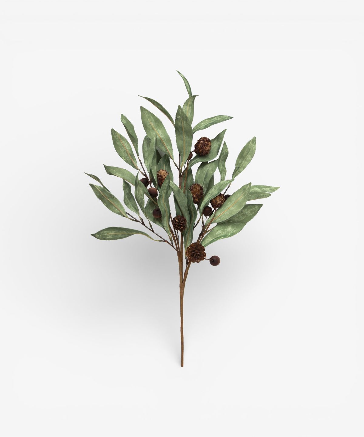 Eucalyptus & Brown Berry Wood Branch