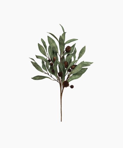 Eucalyptus & Brown Berry Wood Branch