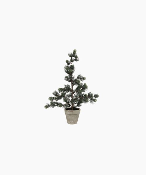 Pine Tree Dusty X-Small