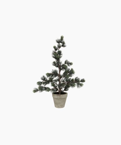 Pine Tree Dusty Small