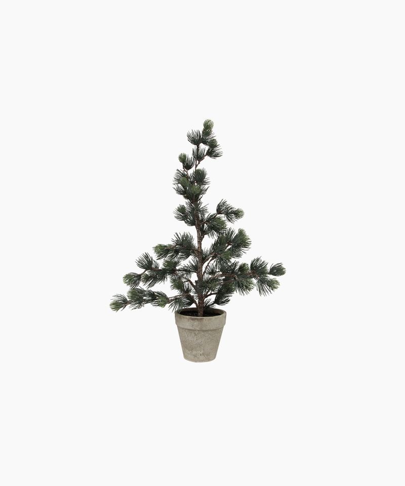 Pine Tree Dusty Small