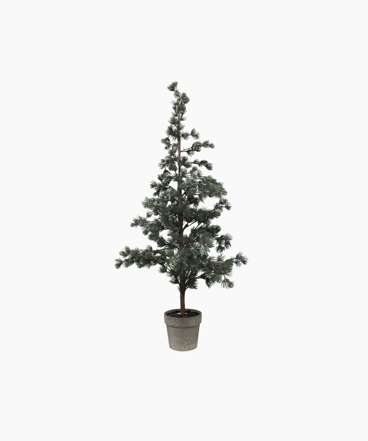 Pine Tree Dusty Medium