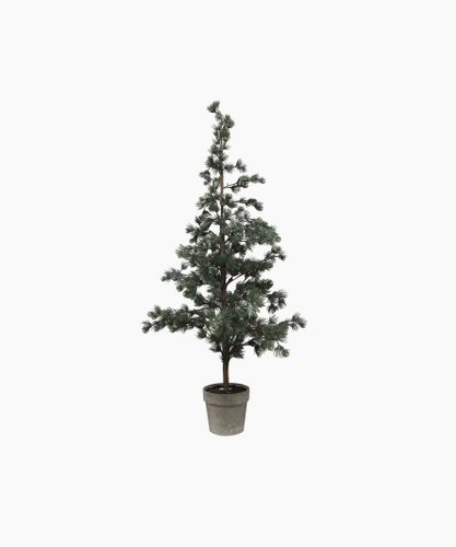 Pine Tree Dusty Medium