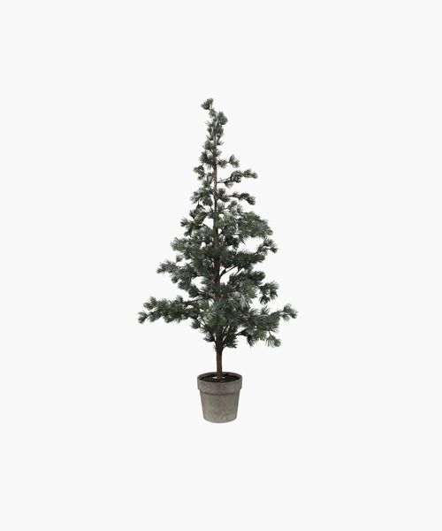 Pine Tree Dusty Medium