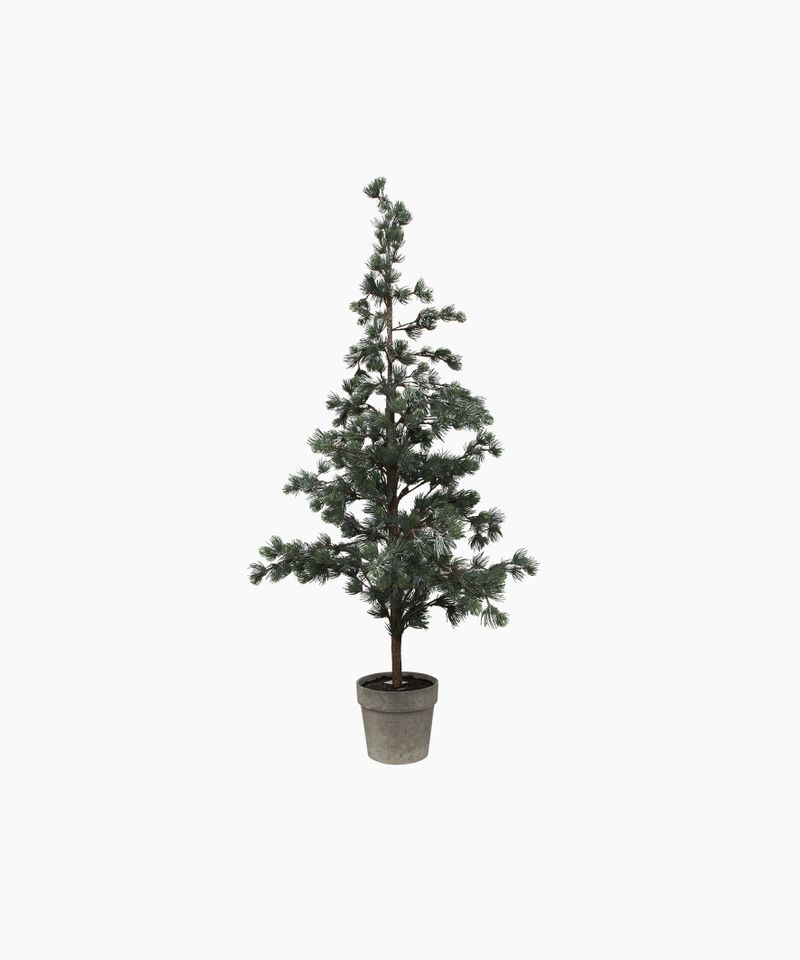 Pine Tree Dusty Medium