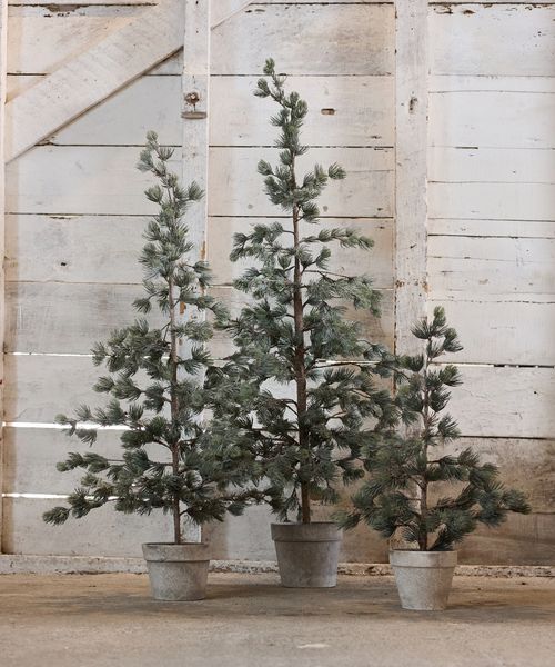 Pine Tree Dusty Large