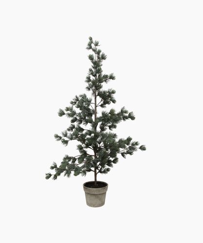 Pine Tree Dusty Large