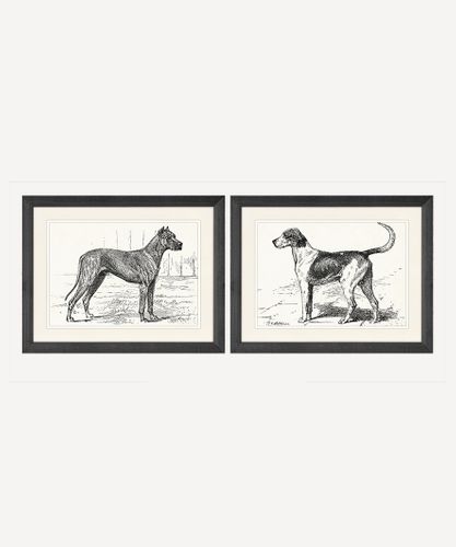 Dog Wall Art (SET2)