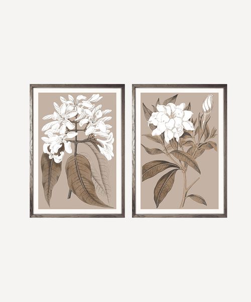 Flower Wall Art (SET2)