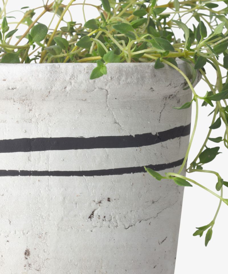 Lisbon Herb Pot Small