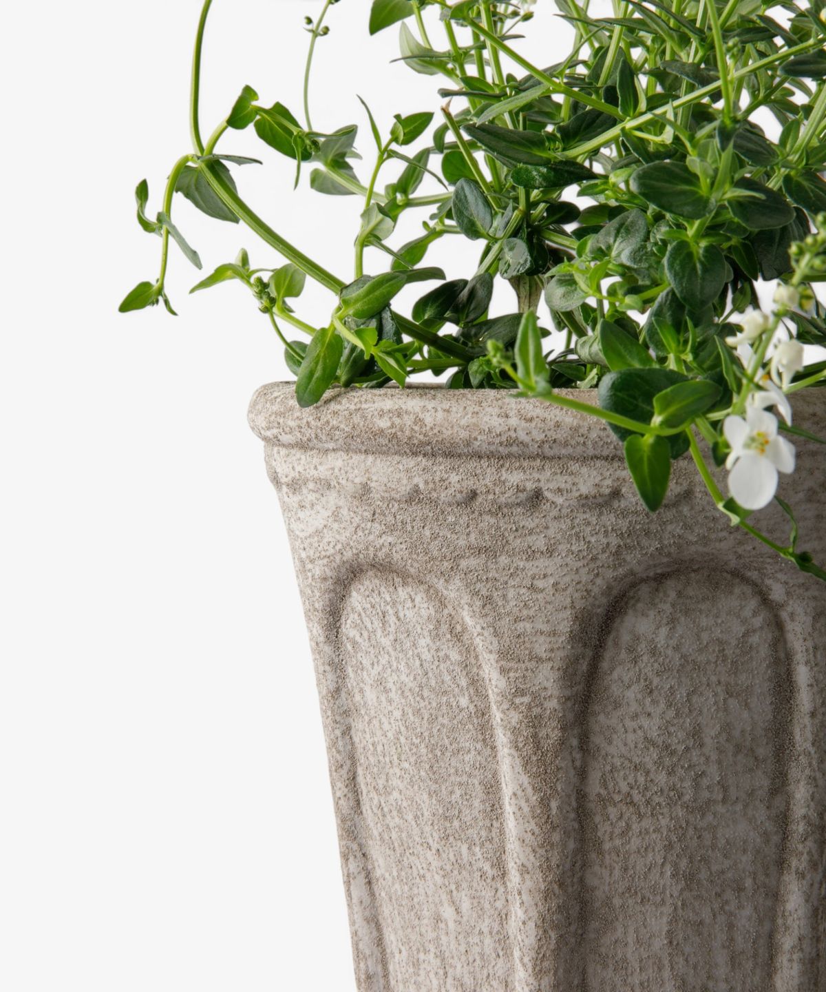 Terra Arc Planter Small