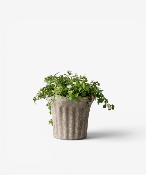Terra Fluted Planter Small