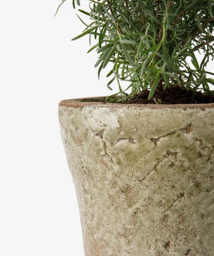 Celadon Herb Planter