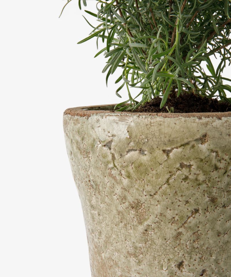 Celadon Herb Planter