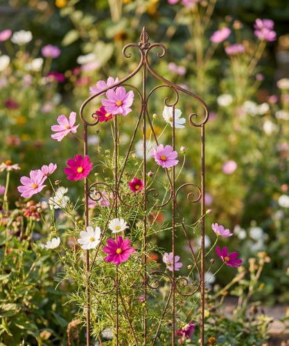 Ornamental Iron Garden Panel Tall