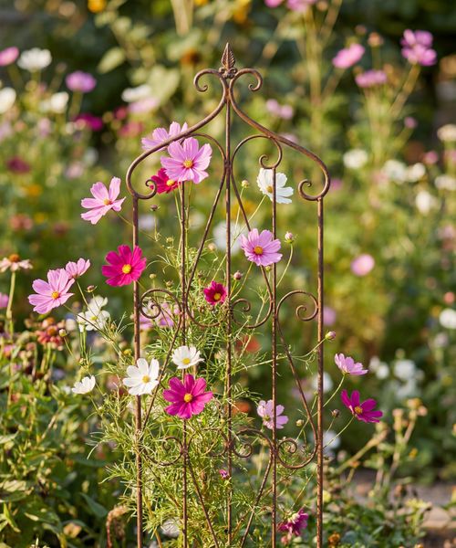 Ornamental Iron Garden Panel Tall