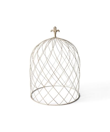 Cloche Dome Large