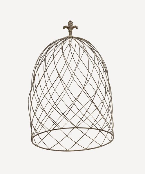 Cloche Dome Large