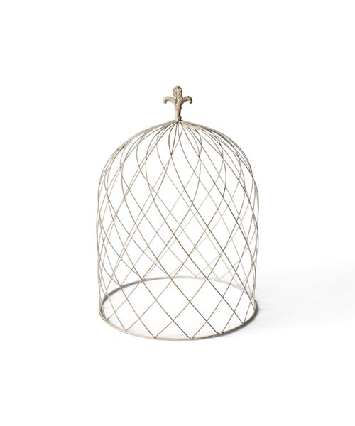 Cloche Dome Large