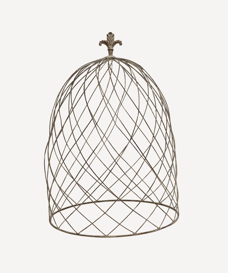 Cloche Dome Large