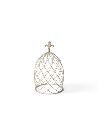 Cloche Dome Small