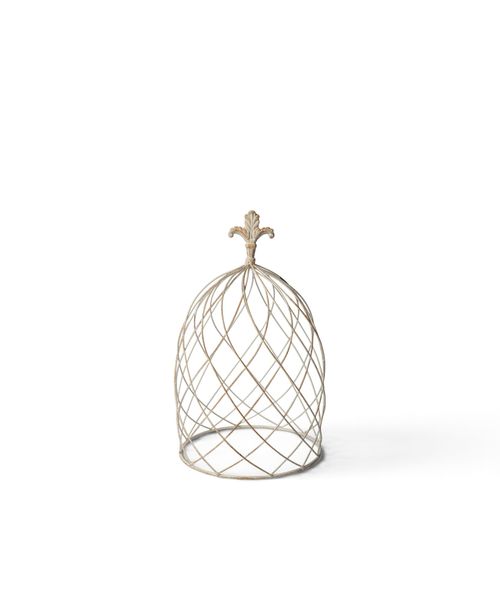 Cloche Dome Small