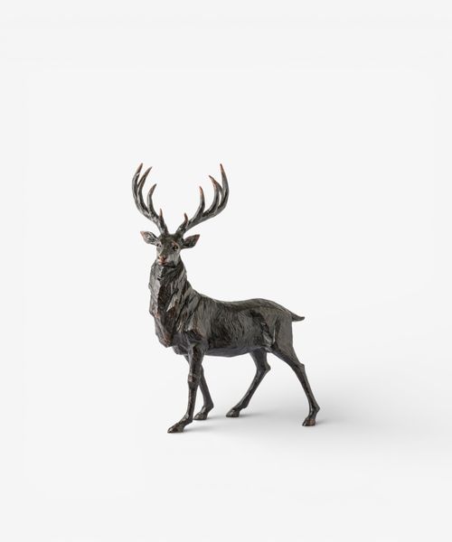 Black Stag Head Turning