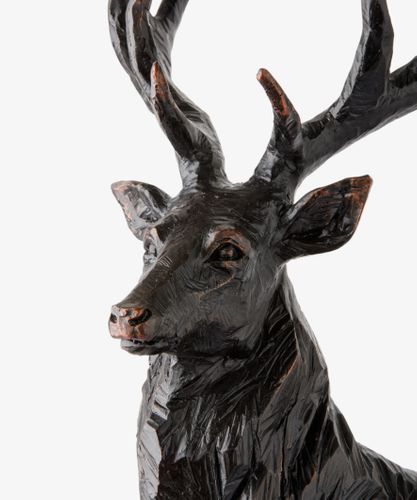 Black Stag Head Turning