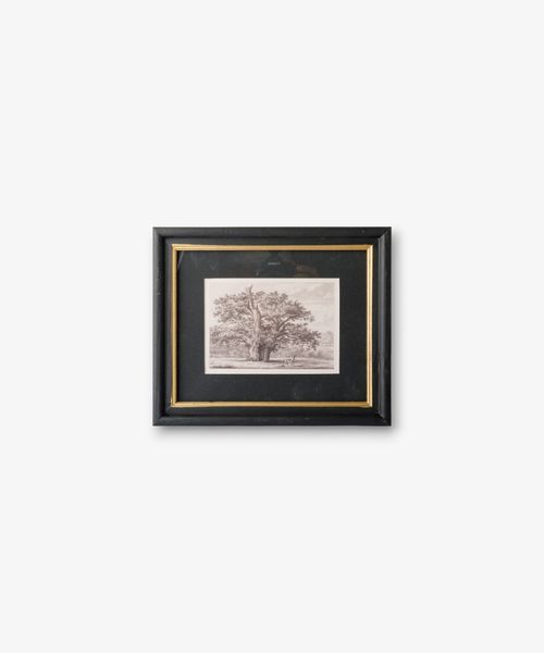 Oak Tree Pencil Wall Art