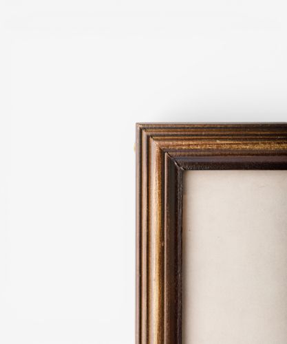 Vintage Poplar Tree Sketch Wall Art