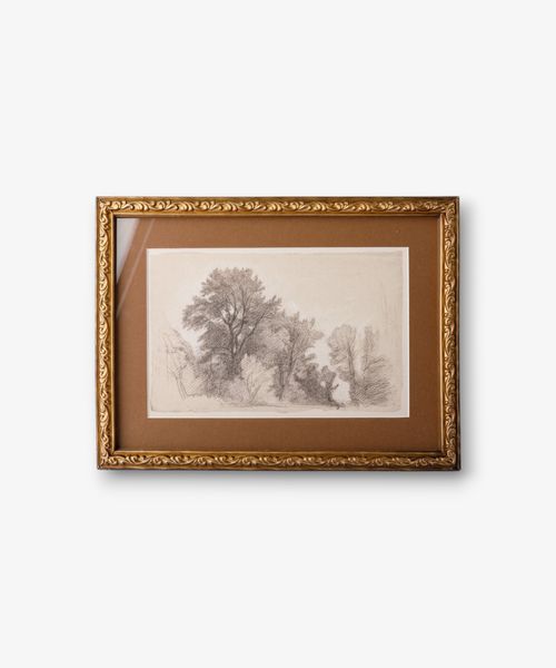 Vintage Glade Sketch Wall Art