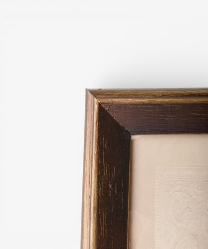 Butterfly Study Wall Art