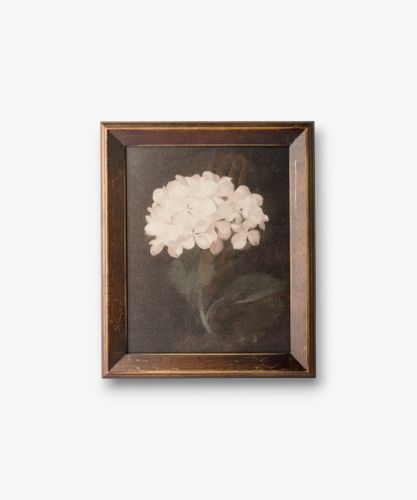 Hydrangea Wall Art