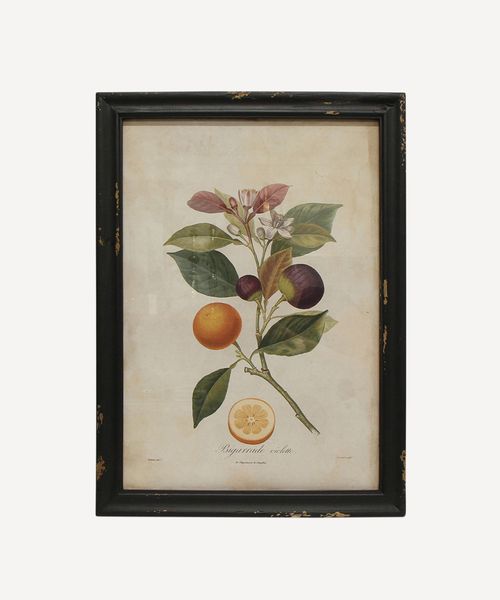 Botanical Lemon Wall Art