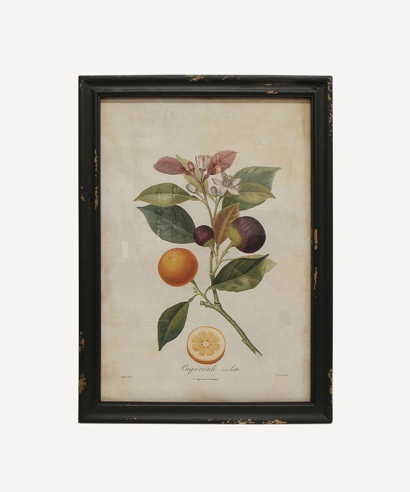 Botanical Lemon Wall Art