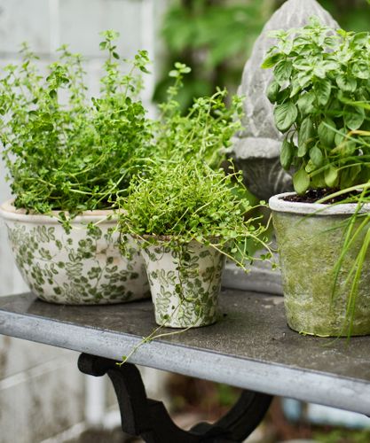 Botanical Fluted Pot Small