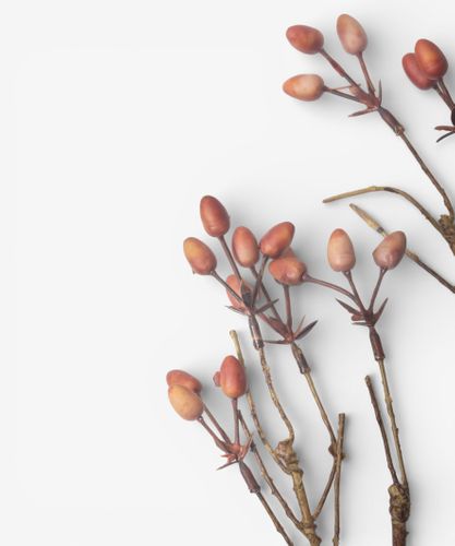 Burnished Berries Branch 70cm