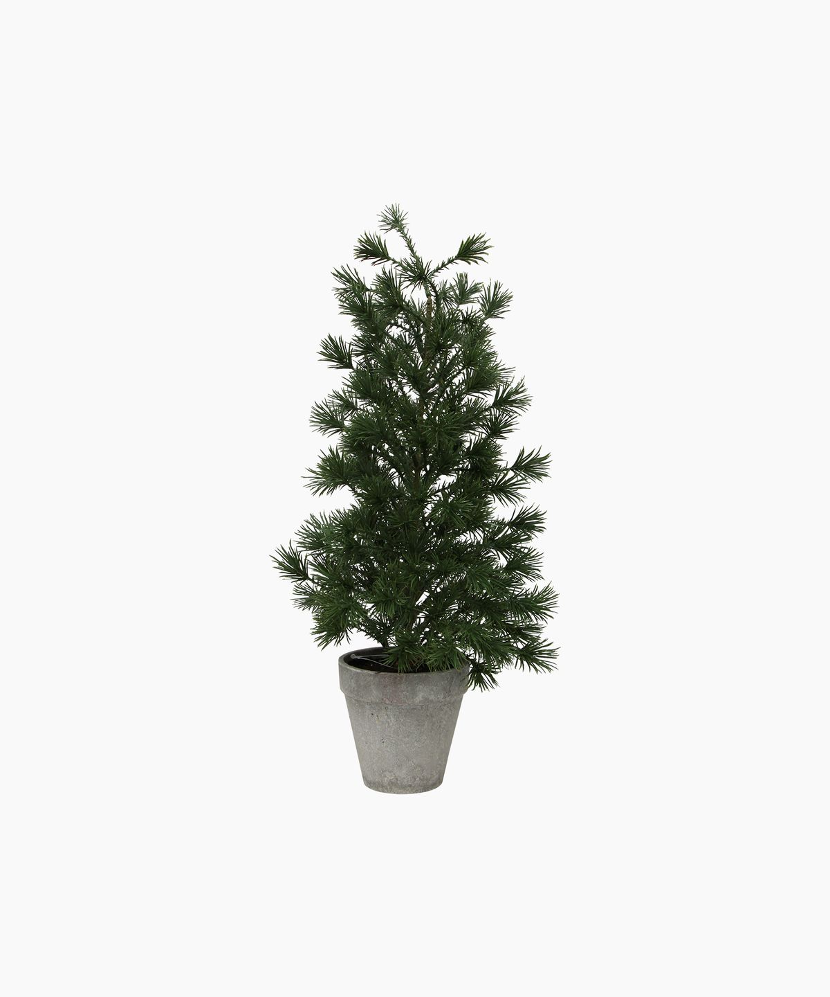 Table Pine Tree Medium