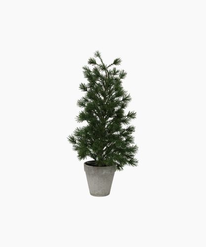 Table Pine Tree Medium