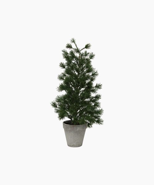 Table Pine Tree Medium