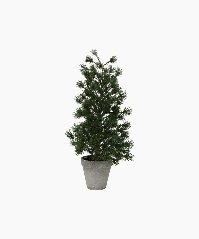 Table Pine Tree Medium