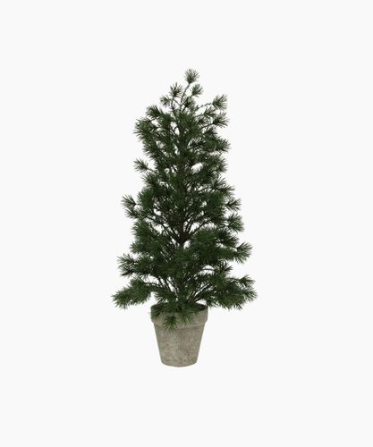 Table Pine Tree Large